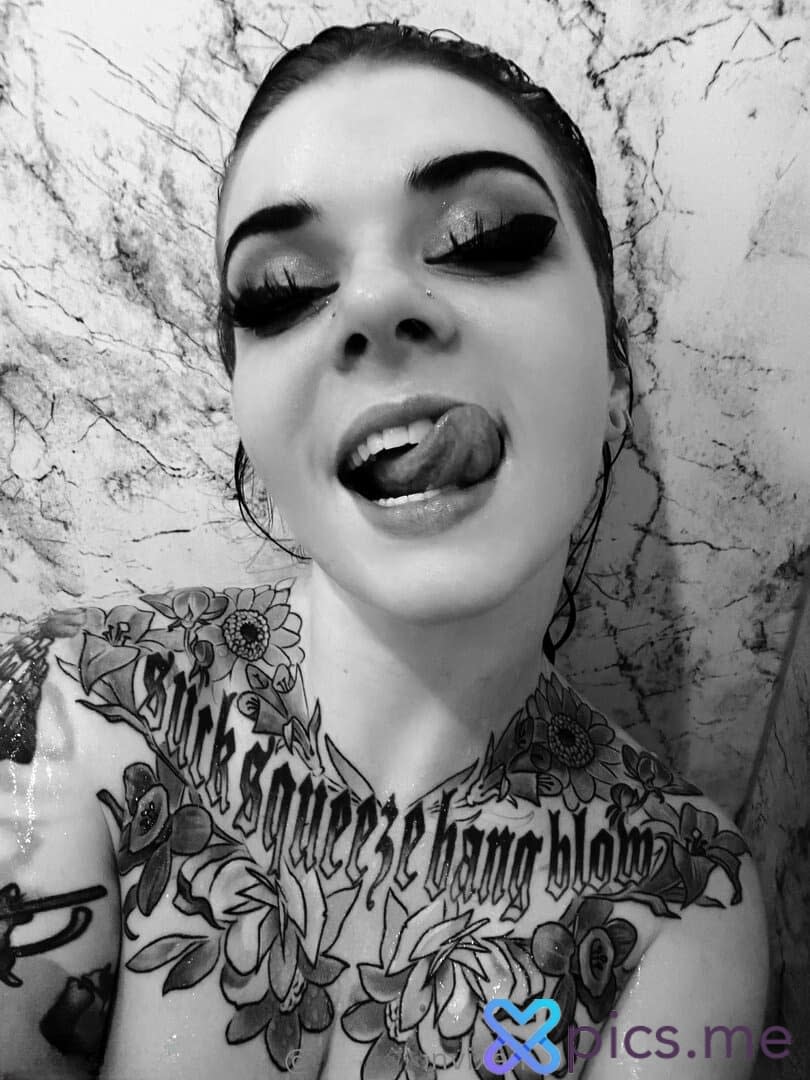 vermilionvixen